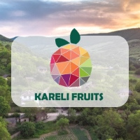 Kareli Fruits